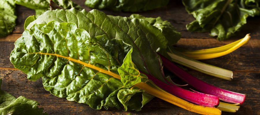 Our Favorite Food Trends to Pair with EVOO