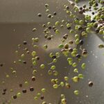 Best Ways To Cook With Cold-Pressed Extra Virgin Olive Oil