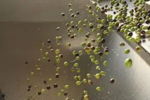 the process of olive oil