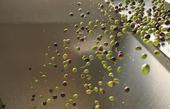 Best Ways To Cook With Cold-Pressed Extra Virgin Olive Oil