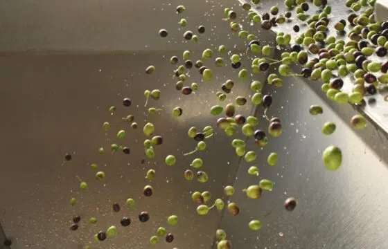 Best Ways To Cook With Cold-Pressed Extra Virgin Olive Oil