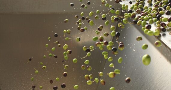 Best Ways To Cook With Cold-Pressed Extra Virgin Olive Oil