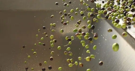 Best Ways To Cook With Cold-Pressed Extra Virgin Olive Oil