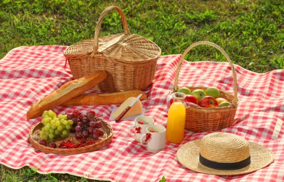 Picnic Food Ideas with Extra Virgin Olive Oil from Spain