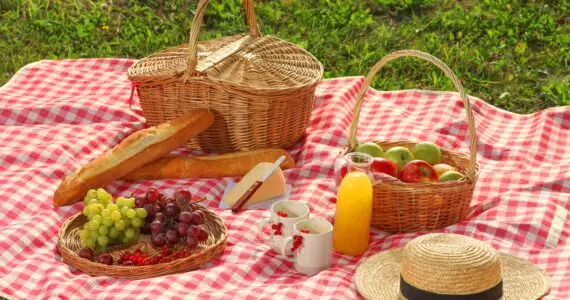 Picnic Food Ideas with Extra Virgin Olive Oil from Spain